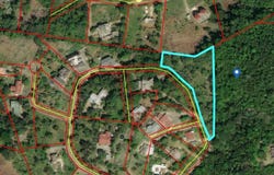 HUNTLEY, BROWNS TOWN, Huntley, St. Ann