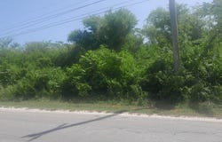 HODGES, BLACK RIVER, Fyffes Pen, St. Elizabeth