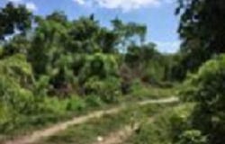 MANGO VALLEY, ST. MARY, Boscobel, St. Mary