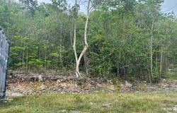 28 CLERMONT, Daniel Town, Trelawny