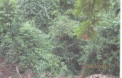 VALLEY CLOSE & PANTON CLO, Stony Hill P.O., St. Andrew