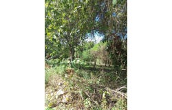 PUIE DRIVE, CARDIFF HALL, Runaway Bay, St. Ann