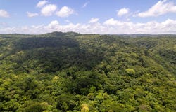 3 ROCKY HILL, Boscobel, St. Mary