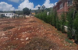 TOP HILL, Junction, St. Elizabeth