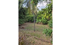 76 Sandhurst Crescent, Kingston 6, Jamaica, Liguanea, Saint Andrew, Liguanea, Saint Andrew