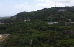 CARDIFF HALL unit: 115, Runaway Bay, St. Ann