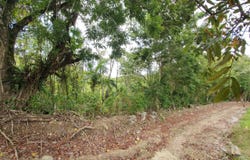 Lot 7 GOLDEN SPRING ESTATES, Lime Hall, St. Ann