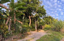 LAND PART OF ROCK HILL, May Pen, Clarendon