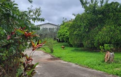 6 POWELL CLOSE STERLING CAS, Kingston 19, St. Andrew