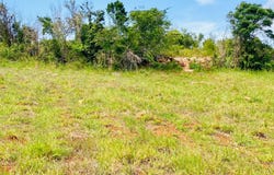 LOT 63 MALVERN HEIGHTS, Malvern, St. Elizabeth