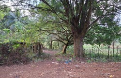 HOME CASTLE, Browns Town, St. Ann