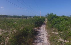 FULLERSWOOD unit: Lot # 210, Fullerswood, St. Elizabeth