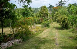 MOUNT PLEASANT unit: Pil. Lodge, Cole Gate, St. Ann