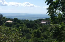 CEDARS MOCHO, Mocho, Clarendon