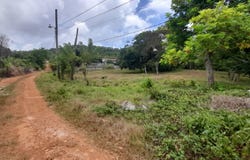 Aberdeen HUNTLEY, Aberdeen Heights, St. Ann