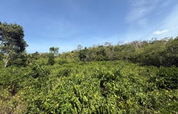 DAIRY RD, DISCOVERY BAY, Discovery Bay, St. Ann