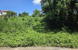 HASKETTE ROAD, Negril, Westmoreland
