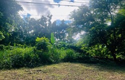 8b HERMOSA LANE, Ocho Rios, St. Ann
