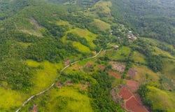MAMMEE RIDGE, HIGGIN TOWN, ST. ANN, Claremont, St. Ann