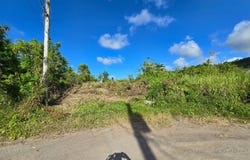 Lot 141 BOSCOBEL HEIGHTS LOT 141, Boscobel, St. Mary