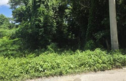 HASKETTE ROAD, Negril, Westmoreland