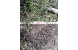 PUIE DRIVE, CARDIFF HALL, Runaway Bay, St. Ann