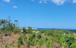 Lot 2 Hanover Green Island, Green Island, Hanover Parish, Green Island, Hanover Parish