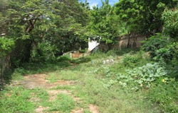 RED HILLS ROAD, FOREST HI unit: 4, Red Hills, St. Andrew