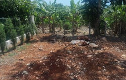 TOP HILL, Junction, St. Elizabeth