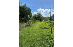 234 Goshen St Elizabeth, Santa Cruz, Saint Elizabeth, Santa Cruz, Saint Elizabeth