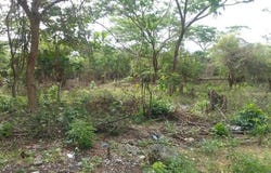 WHITE HALL BLOCK 7, Whitehall, Westmoreland