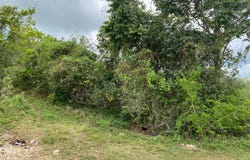 MOUNT ZION ROCK HALL, Red Hills, St. Andrew