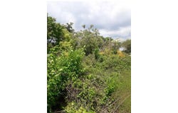 IRWIN HEIGHTS, Irwin, St. James