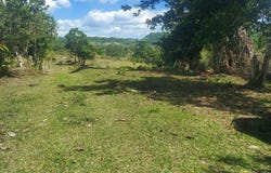 WINDSOR FOREST PEN, Darliston, Westmoreland