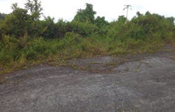 Lot 9 WINEFIELD ACRES, CLAREMOU, Claremont, St. Ann
