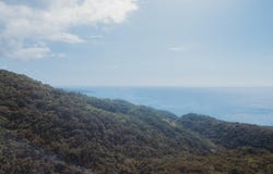 ANGLESEA PEN, CAVE P.O,, Cave, Westmoreland