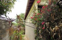 140 BLUE LAGOON AVENUE, SEAFO, Hellshire Heights, St. Catherine
