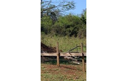 MAVERLEY MOUNTAIN, Red Hills, St. Andrew
