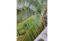 715 PARROT DRIVE, INNSWOOD VI, Innswood Village, St. Catherine