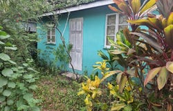 34 BALMAGIE, LOT 150 PENWOOD, Kingston 11, St. Andrew