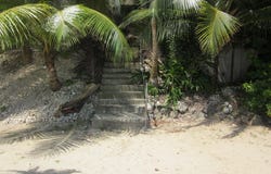92WW+XQ8, Oracabessa, Jamaica, Oracabessa, St. Mary Parish