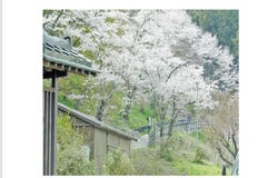 Kitsuregawa 喜連川, Tochigi, Tochigi