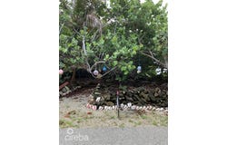 Cayman Brac East, Cayman Brac
