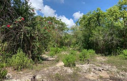 Cayman Brac Centr, Cayman Brac
