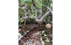Cayman Brac East, Cayman Brac