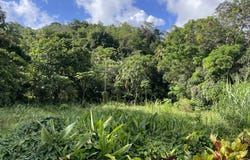 Bexon, Bexon, Castries