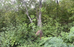 Caribbean Park, Cap Estate, Gros-Islet