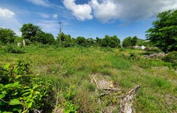 Rodney Bay, Gros Islet