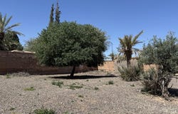 Marrakesh, Marrakesh-Safi