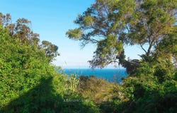 Tangier, Tanger-Tetouan-Al Hoceima
